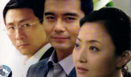 电视剧婚姻,爱恨交织的人生旅程